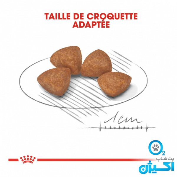 پت شاپ اکسیژن