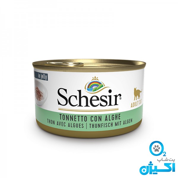 پت شاپ اکسیژن