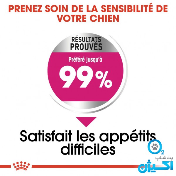 پت شاپ اکسیژن