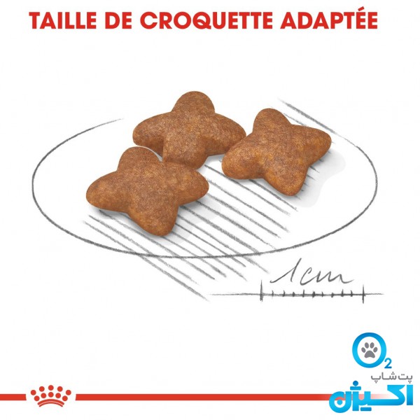 پت شاپ اکسیژن