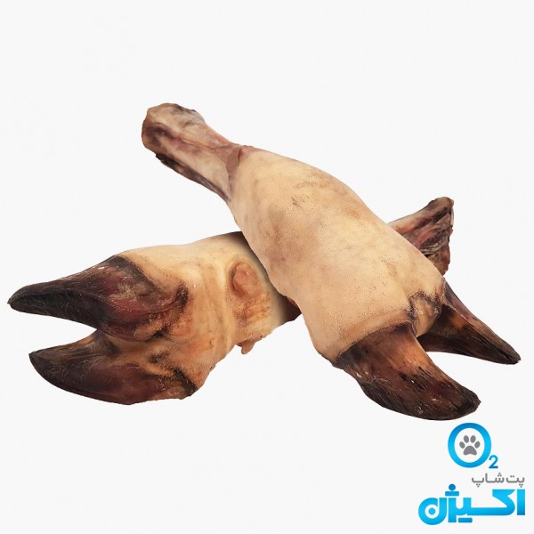 پت شاپ اکسیژن